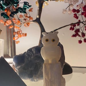 Può includere: Una statuetta di gufo bianco con occhi gialli è appoggiata su una base di pietra bianca. Il gufo è scolpito con dettagli e si trova di fronte a un albero decorativo con foglie di pietre preziose colorate. Lo sfondo comprende una pietra blu scuro e una piramide nera.