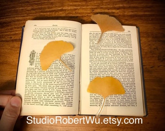 Genuine Canadian Ginkgo leaf Bookmark