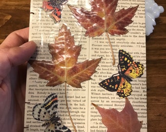 Nature collage maple leaves blank notebook