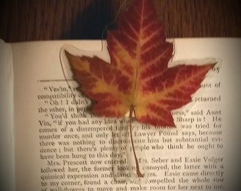 Genuine Canadian Maple leaf Bookmark