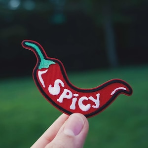 Spicy Embroidered Patch, Hot Chili Pepper Iron On Badge, BookTok Romance Tropes Decor, Funny Sarcastic Jacket Art Gift, Red Chili Accessory