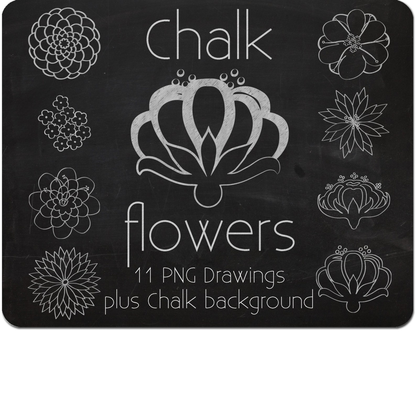 Chalk Flowers Digital Clipart INSTANT DOWNLOAD Commercial Etsy