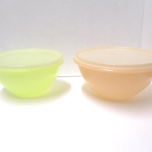 Può includere: Due ciotole rotonde in plastica con coperchi abbinati. Una ciotola è di un vivace colore verde lime, mentre l'altra è di un tenue color pesca. Entrambe le ciotole presentano una finitura liscia e opaca e un design semplice e funzionale.