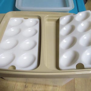 Może przedstawiać: Beżowy plastikowy pojemnik do przechowywania z podzieloną tacą wewnętrzną. Dwie wyjmowane białe plastikowe wkładki, każda z ośmioma owalnymi wgłębieniami, są umieszczone wewnątrz beżowej tacy. W tle widoczna jest półprzezroczysta pokrywka.