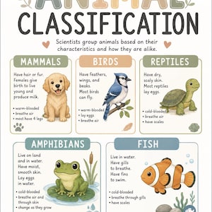 Pode incluir: Um cartaz educativo intitulado ANIMAL CLASSIFICATION com ilustrações de um cão, gaio-azul, tartaruga, rã e peixe-palhaço. Lista as características de mamíferos, aves, répteis, anfíbios e peixes com texto descritivo para cada categoria.