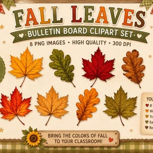 Pu&ograve; includere: Un set di clipart digitali intitolato FALL LEAVES BULLETIN BOARD CLIPART SET con otto immagini individuali di foglie autunnali in tonalit&agrave; di rosso, arancione, giallo e verde. Include dettagli testuali su 8 immagini PNG e 300 DPI.