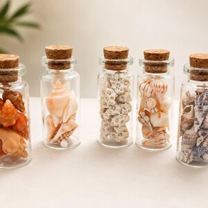 Seashell Mini Jars