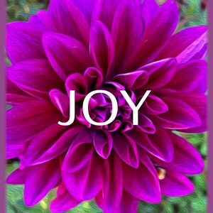 May include: A close-up of a vibrant purple dahlia flower with layered petals. The word "JOY" is written in white across the center of the flower. The background is a blurred green and the image is framed in purple.