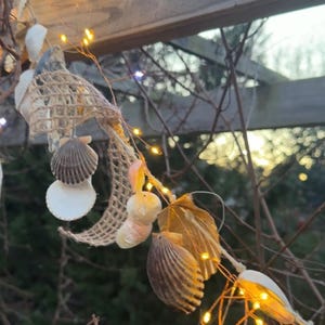 Może przedstawiać: Dekoracja o tematyce nadmorskiej z muszlami, siatką i lampkami choinkowymi. Muszle są w różnych rozmiarach i kolorach, w tym białym, brązowym i beżowym. Lampki choinkowe mają małe, ciepłe żarówki. Dekoracja jest umieszczona na rozmytym tle gałęzi i drewnianej konstrukcji.