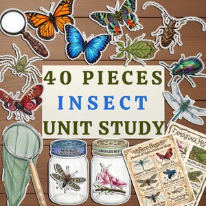Kit De Jeu Insectes, Activité Montessori Découpe Et Joue Entomologie Pour Enfants Scolarisés À La Maison, Téléchargement Numérique