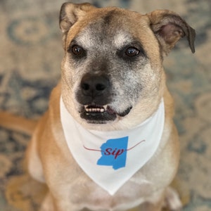 May include: A tan and brown dog wearing a white bandana. The bandana has a blue outline of a state with the word "sip" in cursive and a red line. The dog is looking at the camera.