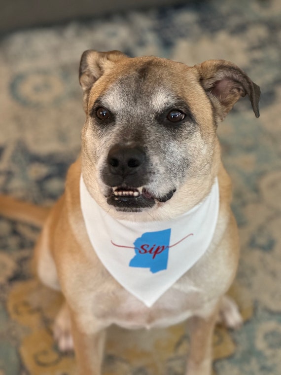 Ole Miss Rebels Dog Bandana, Hotty Toddy Scarf