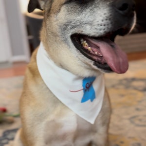 May include: A tan and white dog wearing a white bandana with a blue and red graphic. The dog is smiling with its tongue out. The dog is sitting on a patterned rug.