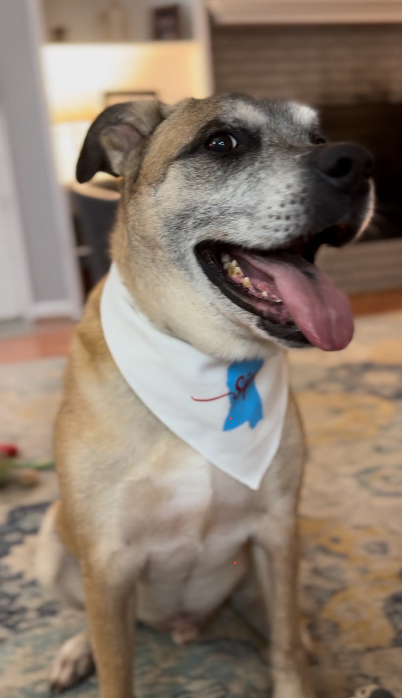 May include: A tan and white dog wearing a white bandana with a blue and red graphic. The dog is smiling with its tongue out. The dog is sitting on a patterned rug.