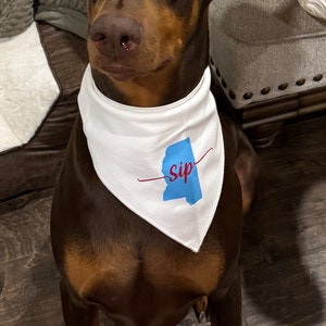 May include: A Doberman Pinscher dog wearing a white bandana with a blue and red graphic of the state of Mississippi and the word "sip". The dog has brown fur and is sitting on a wooden floor.