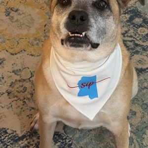 May include: A tan and white dog wearing a white bandana. The bandana features a blue outline of the state of Mississippi with the word "sip" in red script. The dog is sitting and looking at the camera.