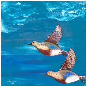May include: An acrylic painting of two birds in flight against a blue sky and water background. The birds have brown, white, and blue feathers. The artist's signature, "Sonia '23", is in the lower left corner.