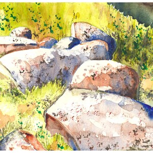 May include: Watercolor painting of large, weathered rocks in a grassy area. The rocks are primarily gray and brown, with hints of blue and white. The grass is a mix of green and yellow, with some darker green foliage in the background. The artwork is signed "Sonia".
