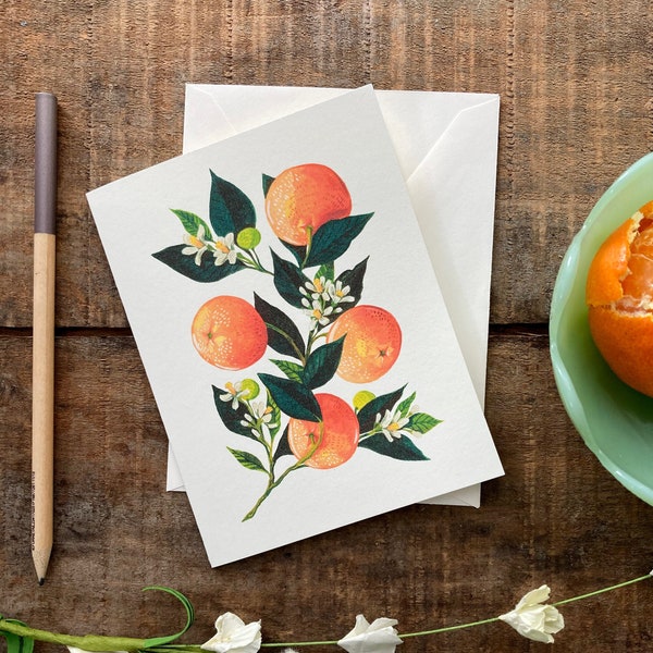 Set of Eight Orange Botanical Cards