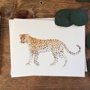 Leopard Card Set image 1