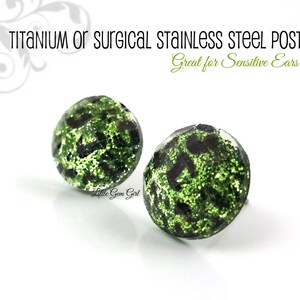 May include: A pair of green and black glitter stud earrings with titanium or surgical stainless steel posts.  Great for sensitive ears!