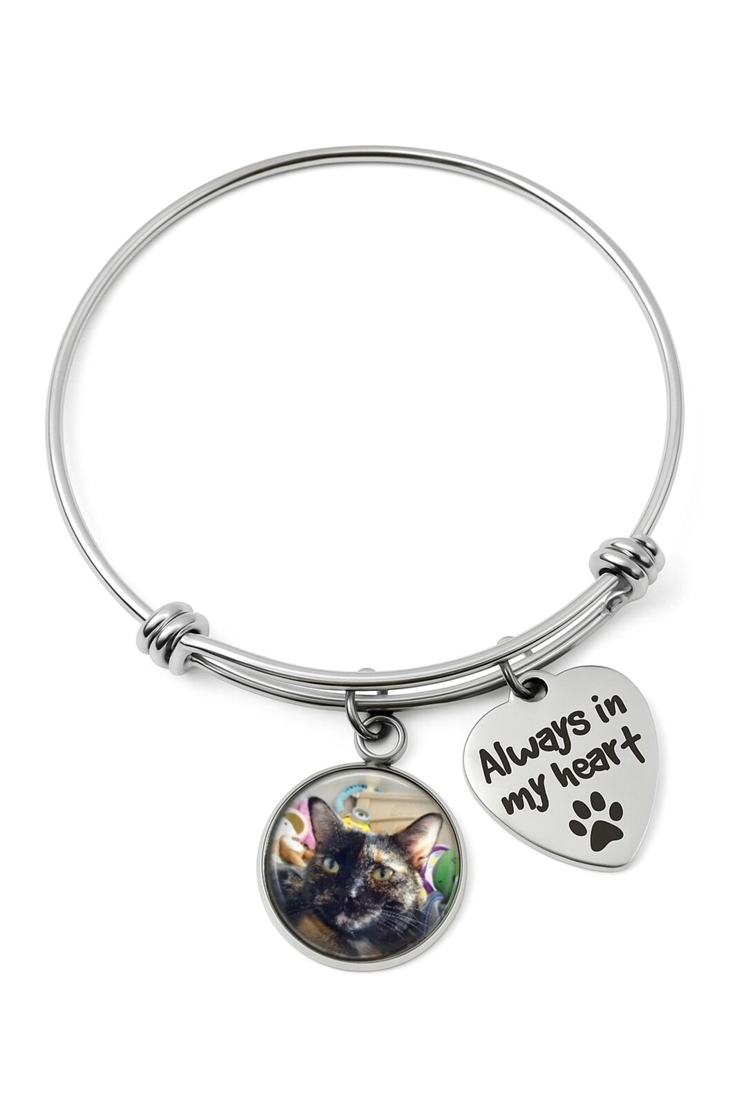 Personalized Pet Memorial Photo Bracelet – Stainless Steel Bangle With ...