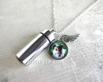 Aangepaste foto huisdier Urn charme ketting - crematie as capsule - Memorial huisdier gepersonaliseerde sieraden met charme