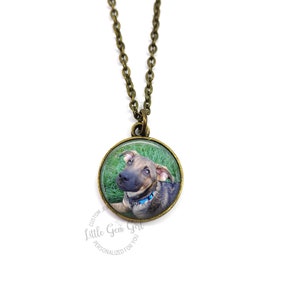 Puede incluir: Un collar de cadena de bronce con un colgante redondo que presenta una foto de un cachorro marr&oacute;n y negro con ojos azules. El cachorro lleva un collar azul y mira hacia la c&aacute;mara. El colgante est&aacute; sobre un fondo verde.