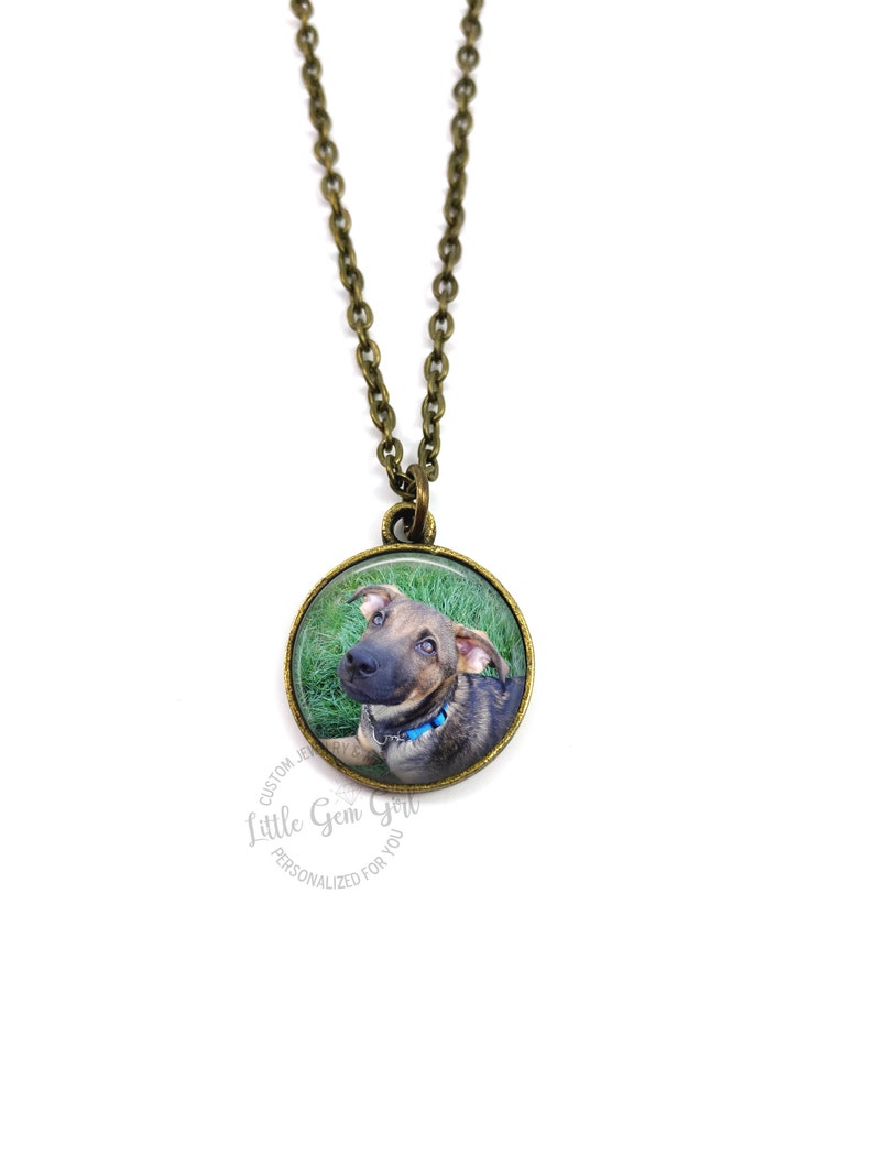 Puede incluir: Un collar de cadena de bronce con un colgante redondo que presenta una foto de un cachorro marr&oacute;n y negro con ojos azules. El cachorro lleva un collar azul y mira hacia la c&aacute;mara. El colgante est&aacute; sobre un fondo verde.