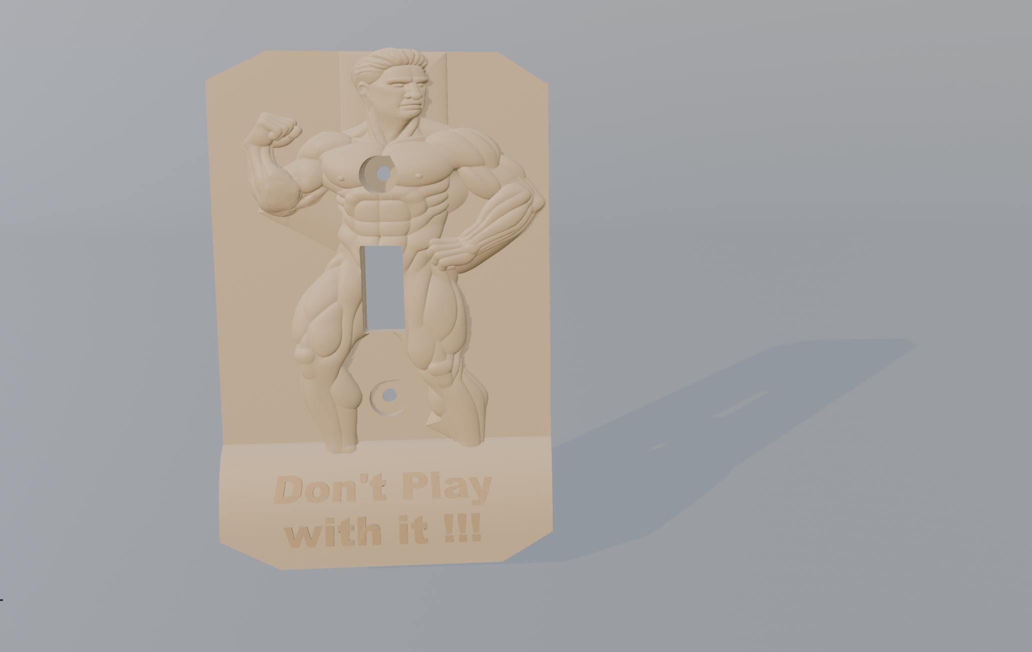 Funny Bodybuilder Light Switch Plate – Prank Gift, Adult Humor - Etsy