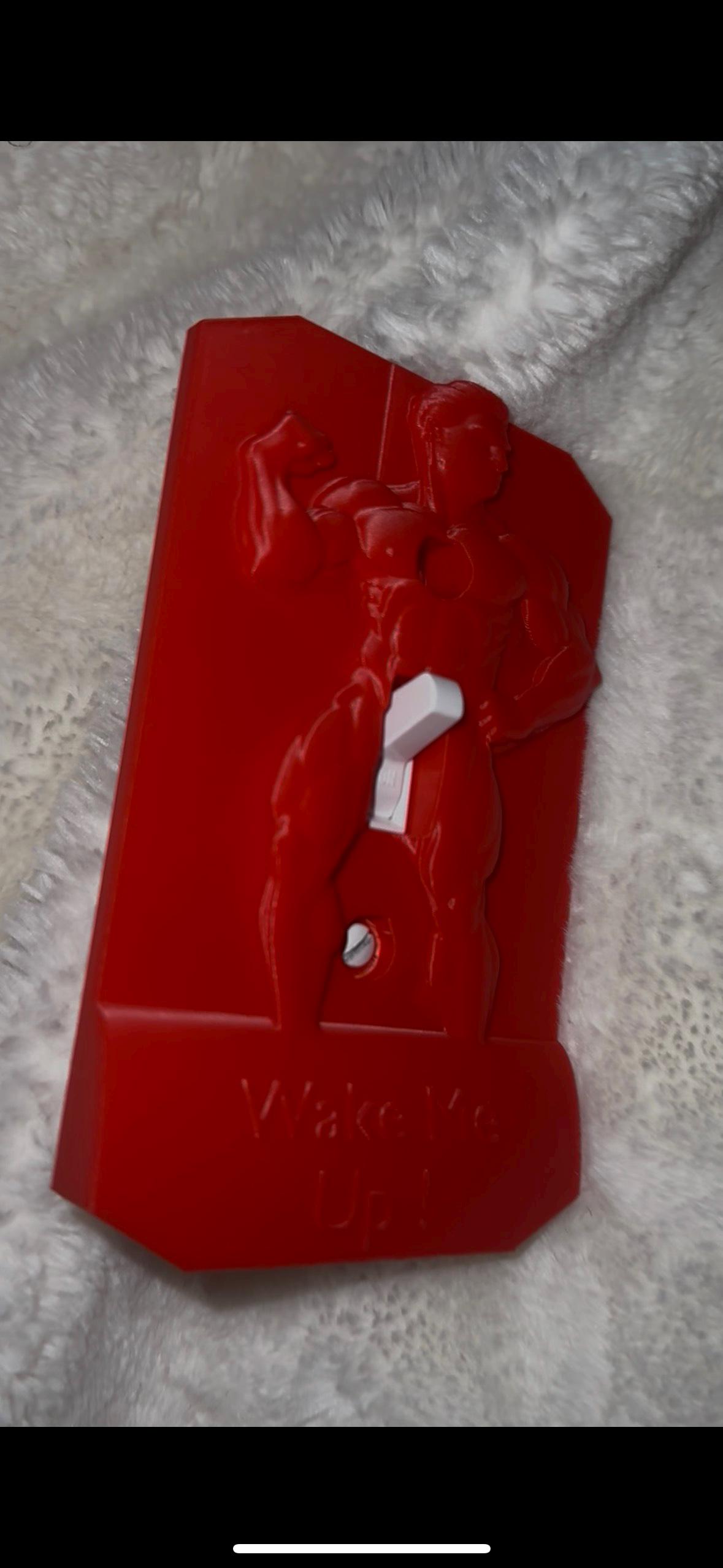 Funny Bodybuilder Light Switch Plate – Prank Gift, Adult Humor - Etsy