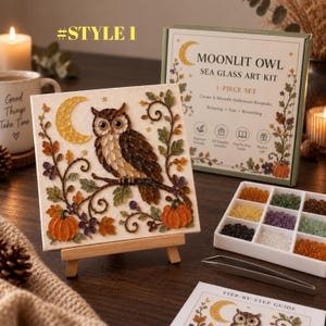 Op de afbeelding: Een Moonlit Owl zeeglas kunstset met een vierkant canvas met een mozaïek uil, maansikkel en pompoenen. De set bevat een wit verdeeld dienblad met gekleurde stukjes zeeglas, een metalen pincet en een stapsgewijze handleiding voor het maken.
