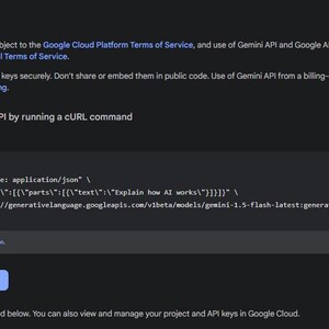 Puede incluir: Captura de pantalla de una p&aacute;gina web titulada "API keys" con instrucciones sobre c&oacute;mo probar la API utilizando un comando cURL. La p&aacute;gina incluye un bot&oacute;n "Create API key" e informaci&oacute;n sobre el uso de claves API.