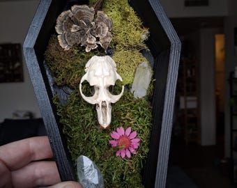 Oddity kistdecoratie