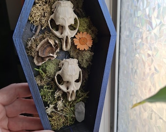 Oddity kistdecoratie
