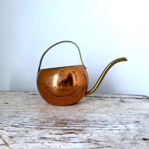 Vintage Copper Watering Can: Long Spout Indoor Plant Waterer