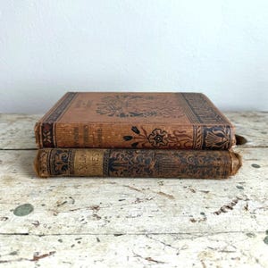 Antique Books King Solomons Mines H Rider Haggard & A Window in Thrums JM Barrie