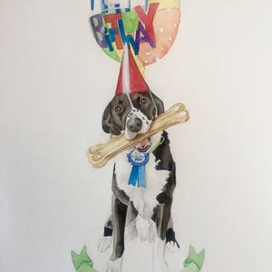 May include: Watercolour painting of a black and white dog wearing a red party hat and holding a bone in its mouth. The dog has a blue ribbon around its neck that says "Birthday Boy". A colourful balloon with the words "Happy Birthday" is above the dog's head. A green banner with the word "HATFIELD" is below the dog.