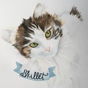 May include: Watercolour painting of a cat with green eyes and brown and white fur. The cat is looking at the viewer and has a blue ribbon around its neck with the word "Skillet" written on it.