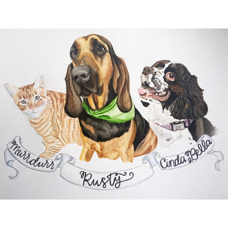 May include: Watercolour painting of three pets: a brown and black Bloodhound dog called Rusty, a black and white Springer Spaniel dog called Cinda Bella, and a ginger tabby cat called Marrdurr. The dogs are wearing collars and the cat is looking to the left.