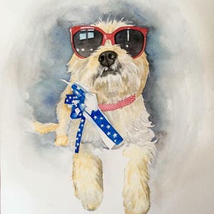 May include: Watercolour painting of a small, white dog wearing red sunglasses and a blue and white ribbon with stars. The dog is lying down and looking at the viewer.