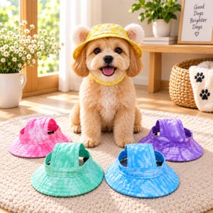 Puede incluir: Un perro pequeño de color marrón claro lleva un sombrero de pescador a cuadros amarillos con aberturas para las orejas. Cuatro sombreros de pescador tie-dye en rosa, verde, azul y morado están dispuestos en el suelo frente al perro.