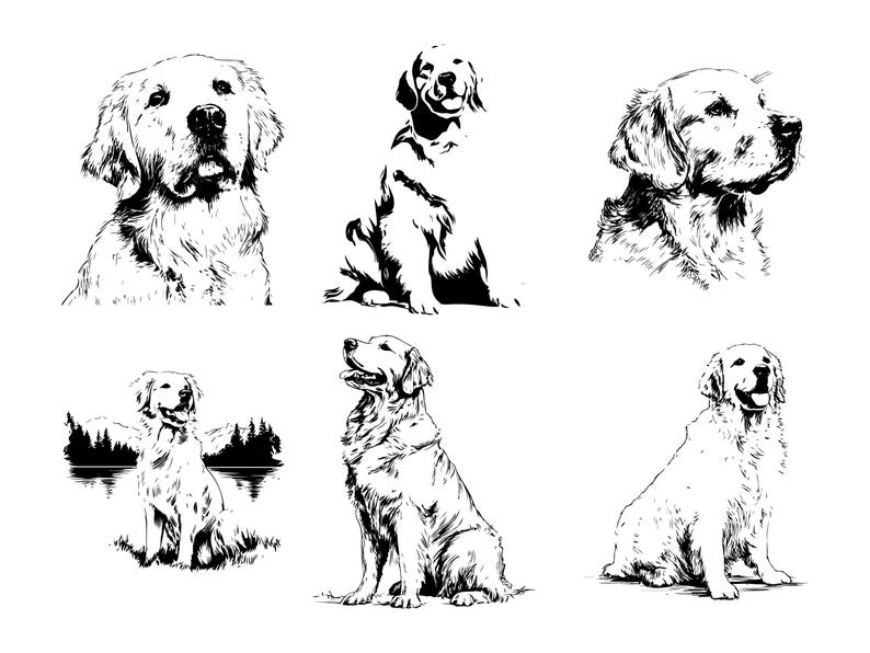 Golden Retriever SVG PNG, Dog Breed Pet Portrait Clipart for Cricut ...
