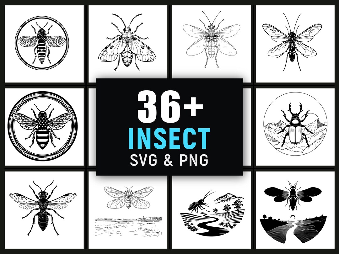 Insect SVG PNG, Detailed Bug Silhouette Clipart for Nature Science ...