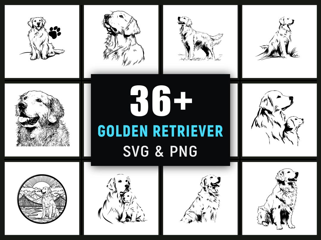 Golden Retriever SVG PNG, Dog Breed Pet Portrait Clipart for Cricut ...