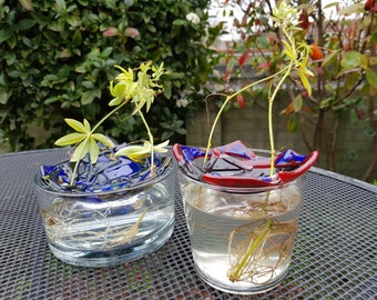 Botanical Fused Glass Sprout Bowl, Handmade Plant Lover Gift