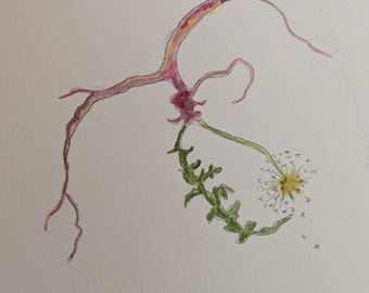 Botanical Origineel art and Handpainted Aquarel, Dandelion, Buttercup, Poppy, Wild Strawberries