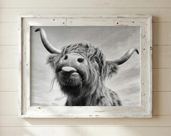 Funny Highland Cow Print – Black and White Cow Wall Art A3/A4/A5