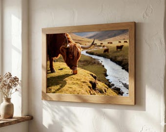 Highland Cow Coffee Print – Funny Farm Animal Wall Art