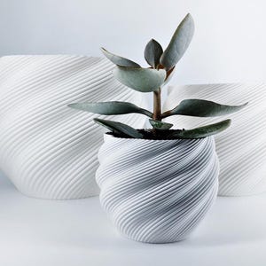Peut inclure: Des pots de fleurs en céramique blanche avec un motif côtelé en spirale. Le pot de devant contient une petite plante succulente aux feuilles vertes et grises. Deux autres pots sont visibles en arrière-plan.